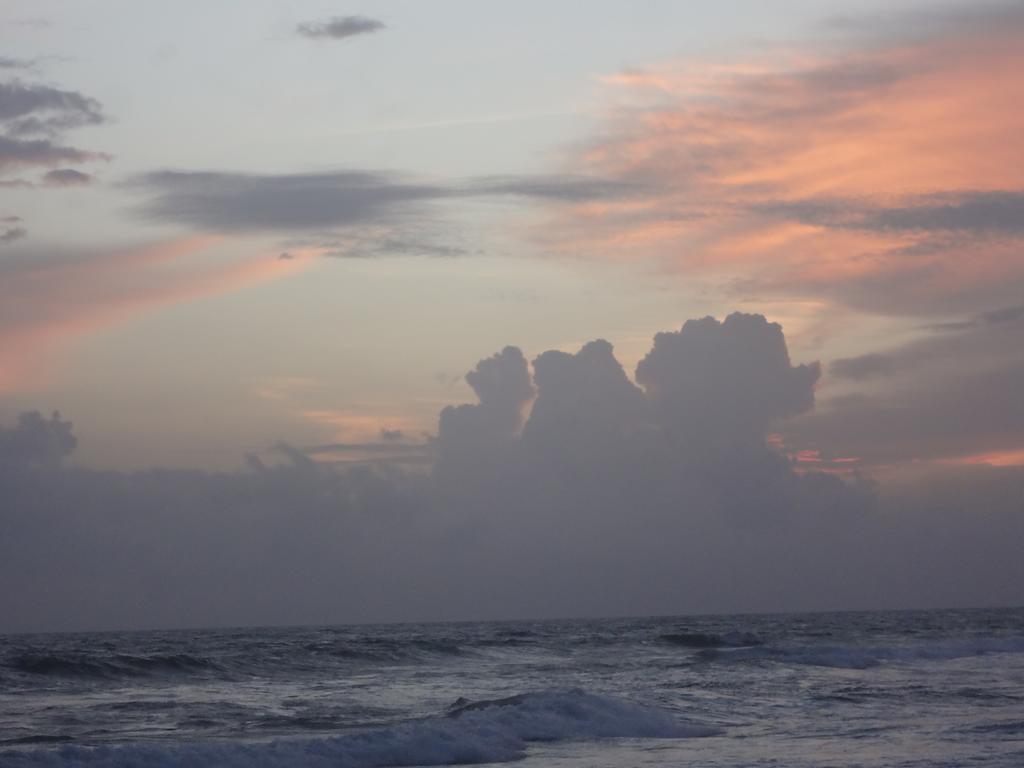 Bed and Breakfast Ceylon Surf Guest And Restaurant Weligama Exterior foto